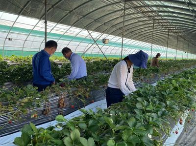 鹽都農業農村系統發力“三條主線”彰顯戰“疫”擔當 保障農副產品購銷暢通