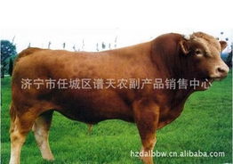 濟寧市任城區譜天農副產品銷售中心 連接田間與餐桌的橋梁