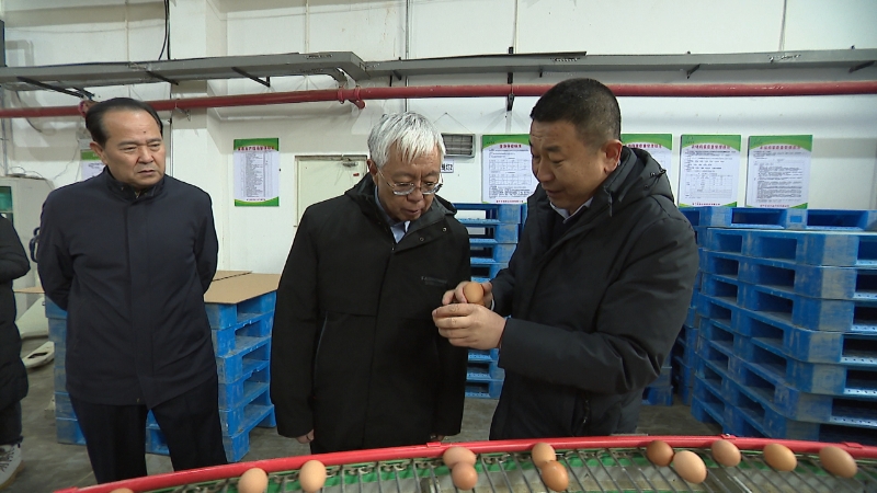 蘭州市人大常委會主任周學海赴榆中縣調研 聚焦鄉村振興與春耕備耕 助力農副產品購銷暢通