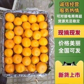 陜西漢中城固縣柑桔產(chǎn)地貨源直通 少波農(nóng)副產(chǎn)品購銷中心代辦服務(wù)詳解