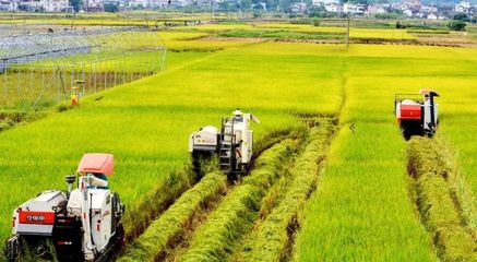 【政策解讀】數字化推進,打造特色高端農產品數字電商模式